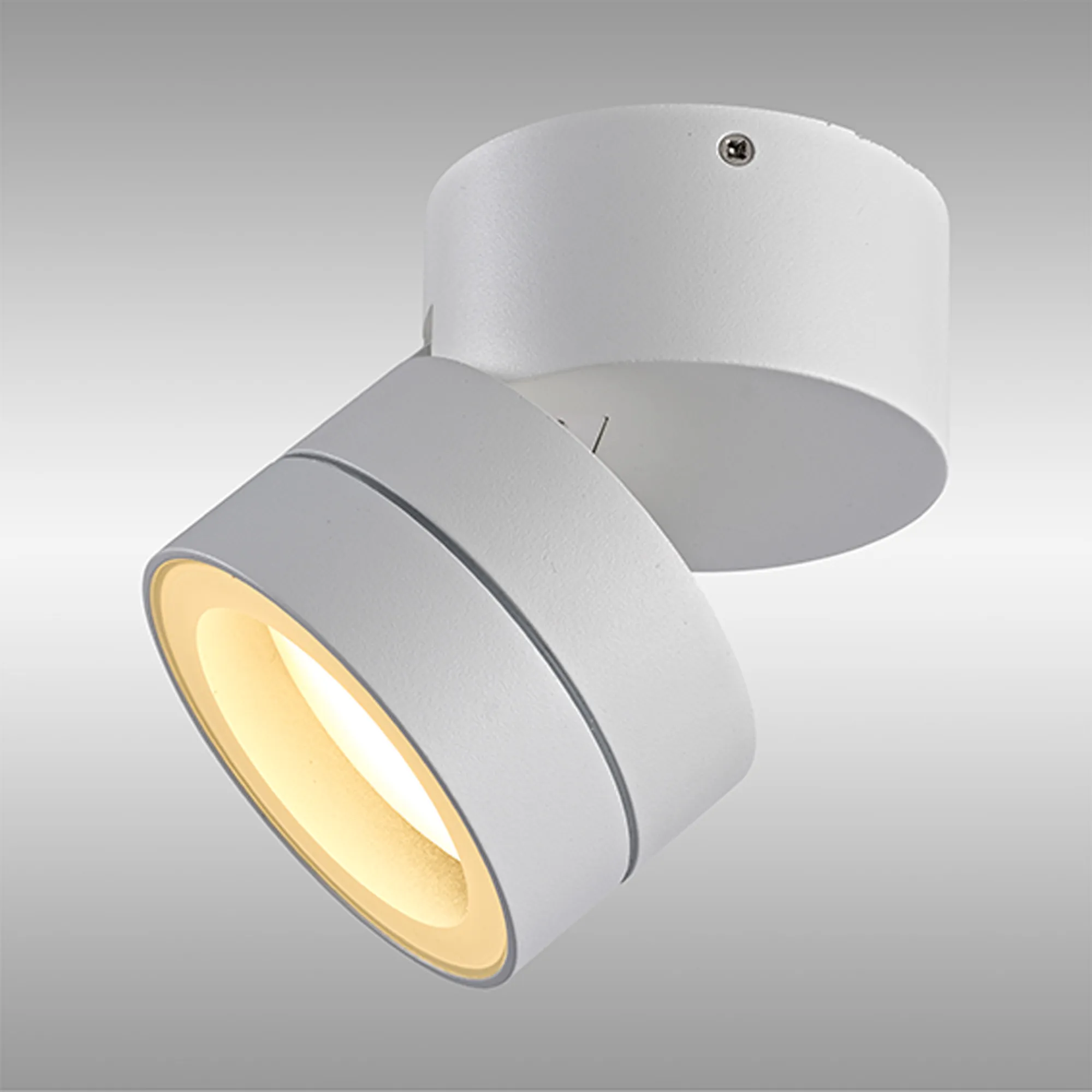 Saler Rust Brown Exterior Lights Mantra Fusion Flush Fittings
